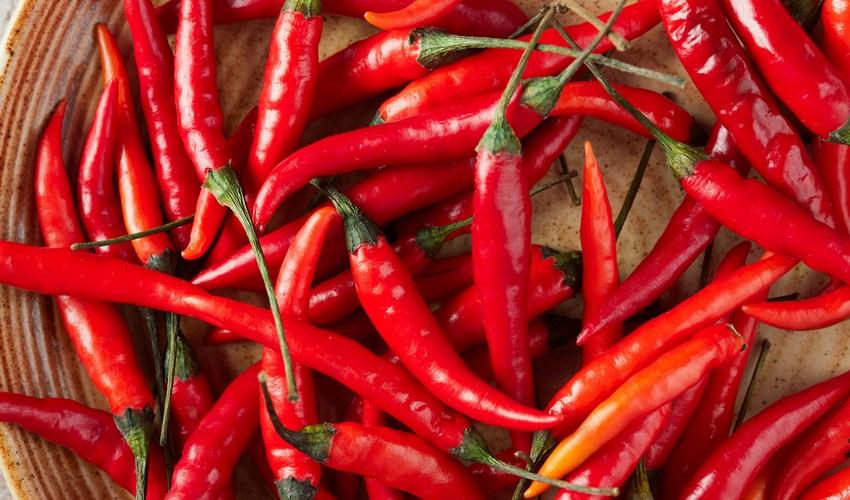 Peperoncino di Calabria e Zampina di Sammichele di Bari nel registro Ue